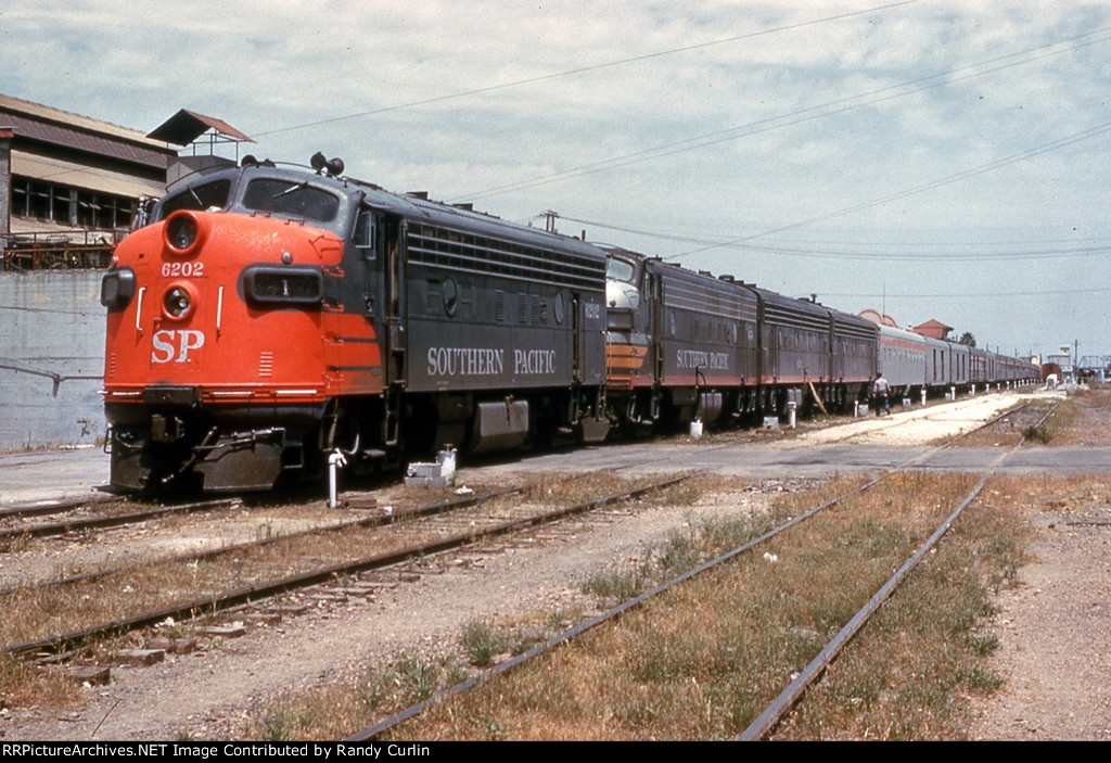 SP 6202 with Sunset Limited